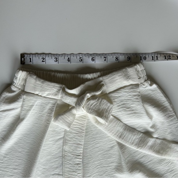 Zara Wide Flowy Pants - Picture 6 of 11